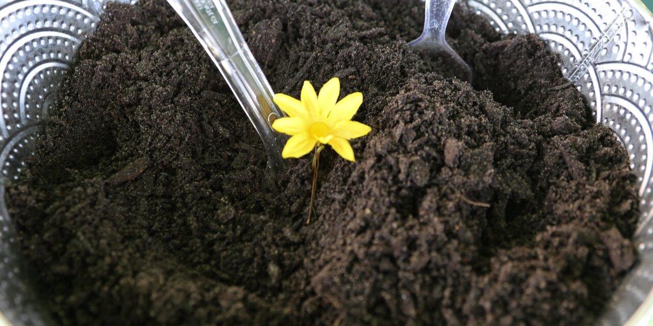 WasteManagement_EarthDay_2015-6172