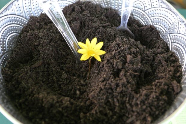 POSTPONED – Harvest Community Garden Composting Event – Nov. 12th