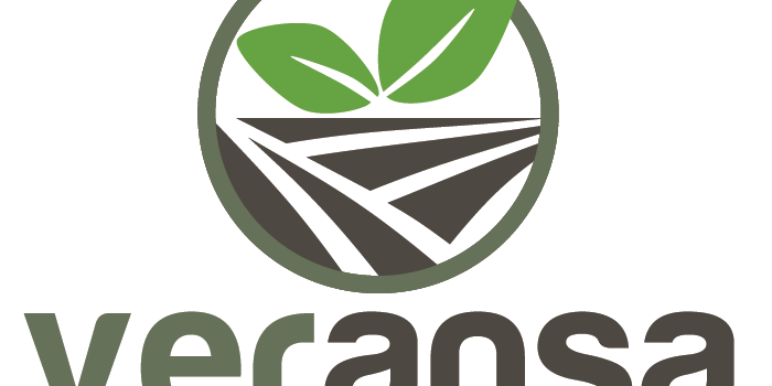 Correct V1 with White Square